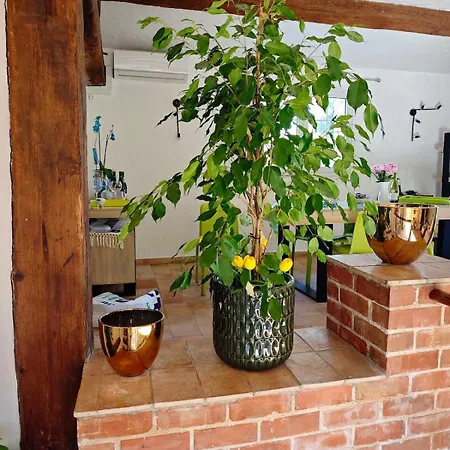 Provencal Detached House And Private Pool Villa